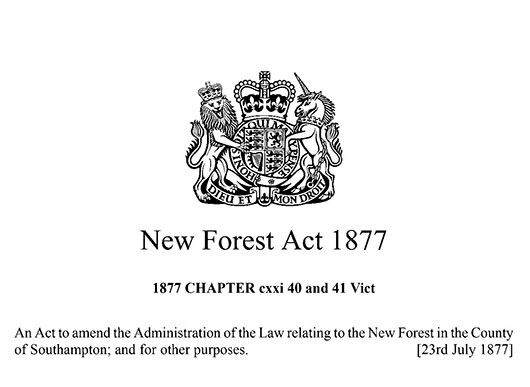 History & New Forest Act of Parliament