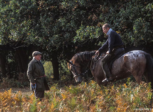 Verderers of the New Forest