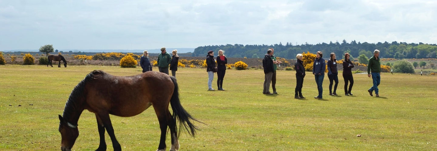 Verderers of the New Forest